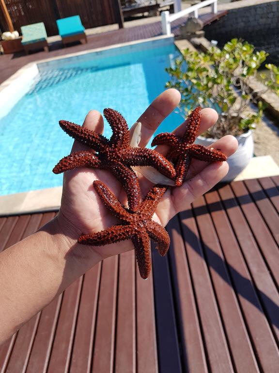 Pousada Costa Do Sape Άνγκρα Ντος Ρέις Εξωτερικό φωτογραφία